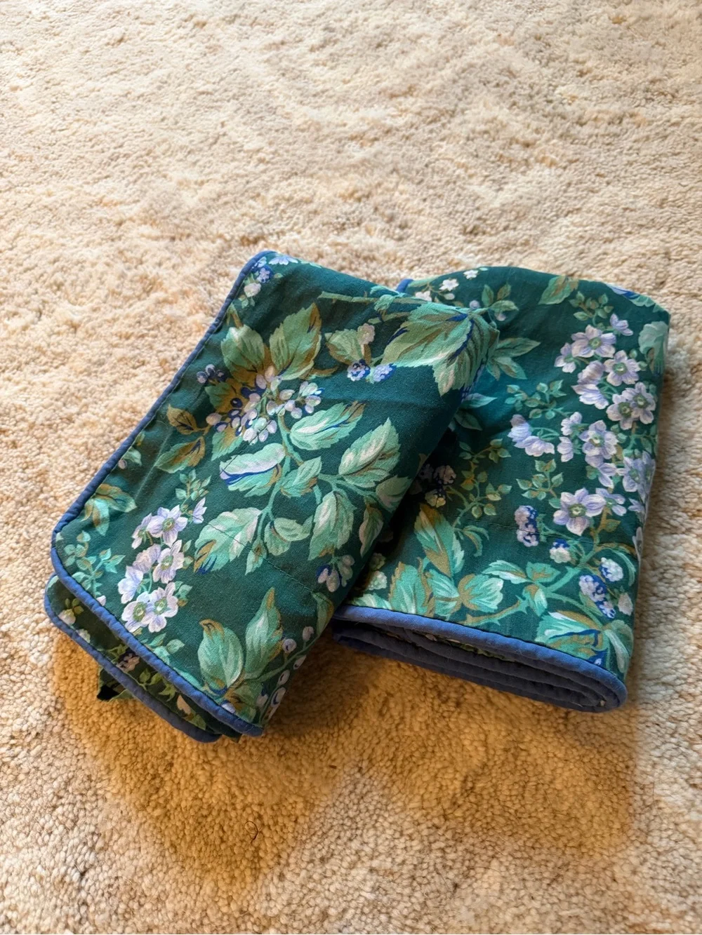 Laura Ashley Set Of 2 Bramble Berry King Pillow Shams Green Blue Cottage Floral